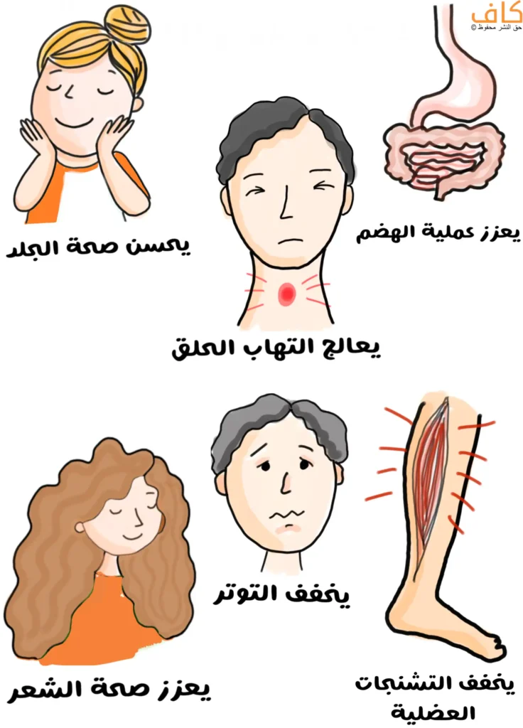 رسمة توضيحية تُبيّن امرأة تلمس وجهها بسعادة، ورسمة للجهاز الهضمي، ورجل مُغمض العينين وتظهر حنجرته محمرة، بالإضافة لامرأة بشعر طويل مموج، وساق تُظهر العضلة فيها متشنجة.