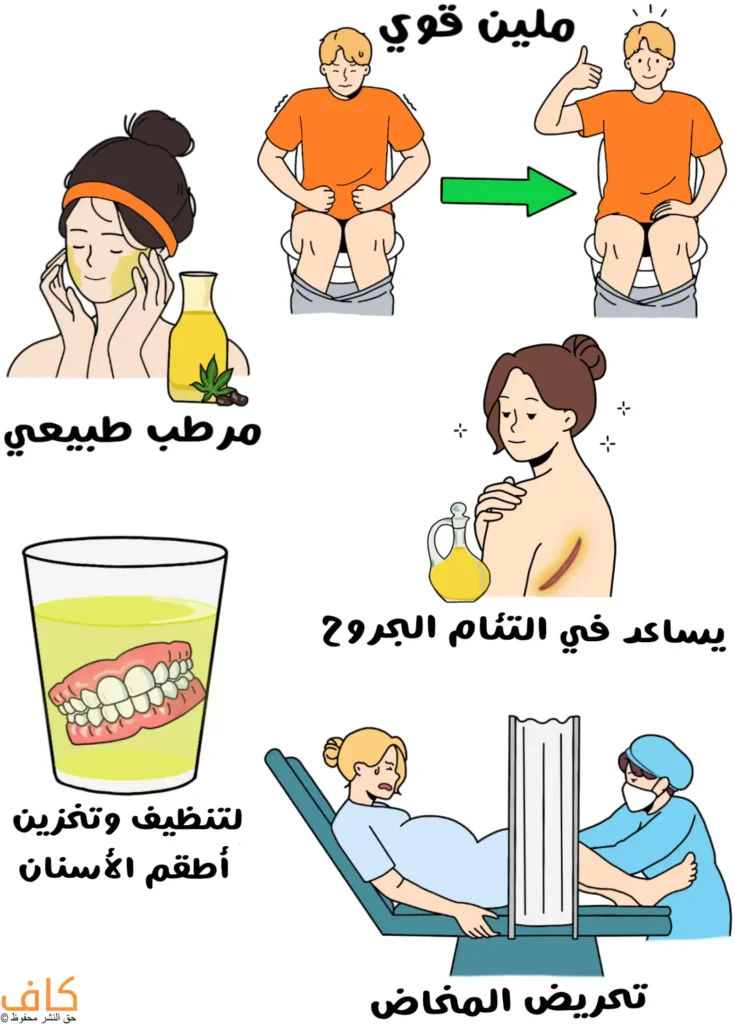 رسم توضيحي يُظهر امرأة تضع زيتًا على وجهها مع زجاجة زيت بجانبها، ورجل يجلس على المرحاض ويبدو متألمًا ثم يظهر في مشهد آخر وهو مرتاح ويشير بإبهامه للأعلى مع سهم أخضر بين المشهدين، وامرأة تضع زيتًا على كتفها مع أثر جرح، وكوب يحتوي على سائل بداخله طقم أسنان، وامرأة حامل مستلقية على سرير فحص مع ممارس صحي يقف بجانبها.