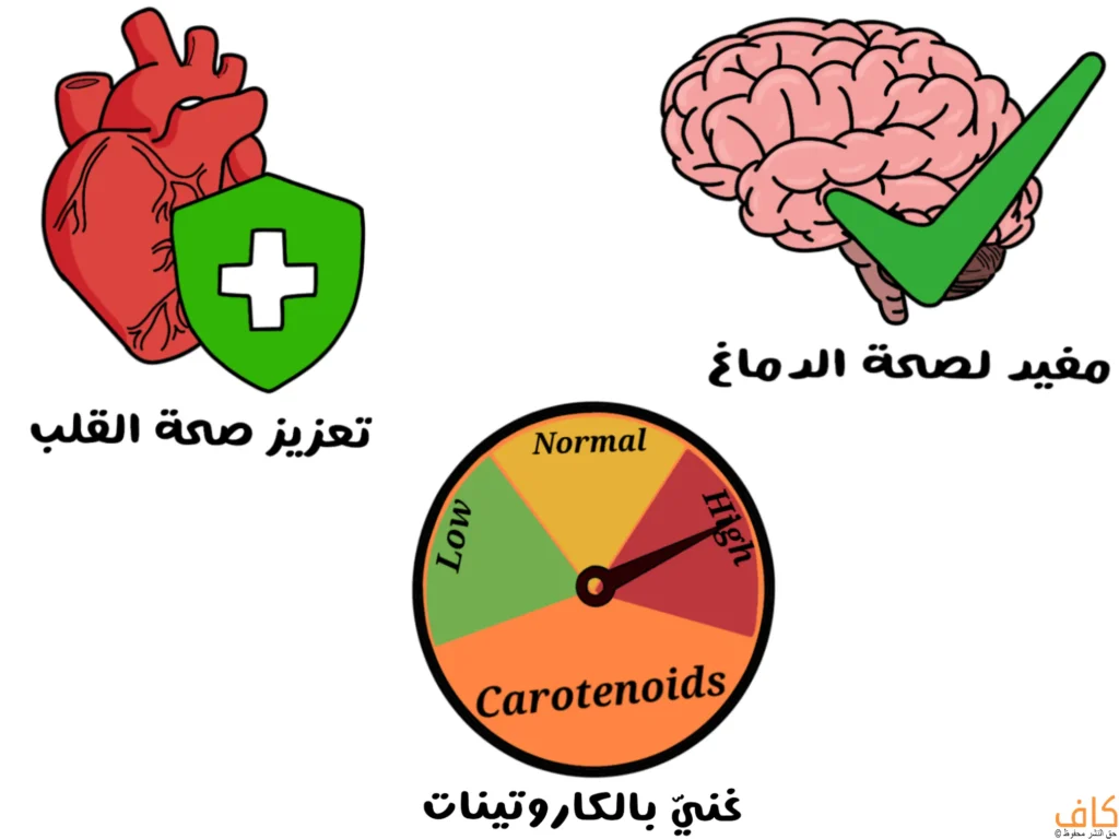 صورة توضيحية تُظهر دماغاً بجانبه علامة صح خضراء ترمز للفوائد المرتبطة بصحة الدماغ، وقلباً أحمر أمامه درع أخضر يرمز لحماية القلب، ومؤشراً دائرياً يشير إلى ارتفاع مستوى الكاروتينات.