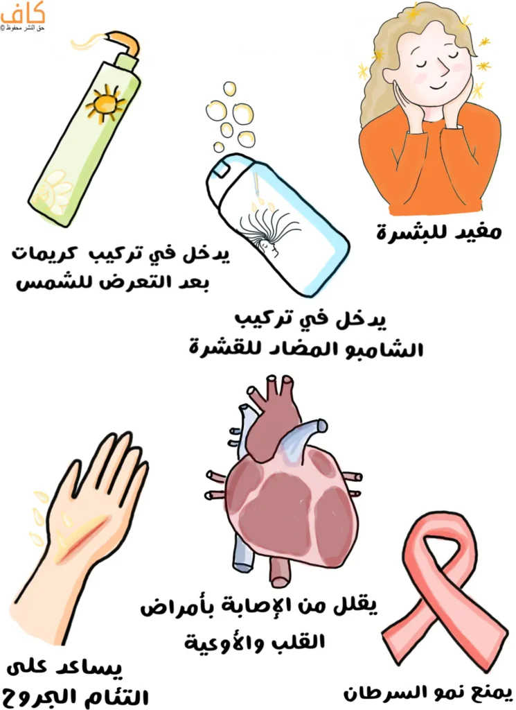 رسم توضيحي يُظهر فوائد زيت بذور القطن، ويتضمن امرأة تلمس وجهها للدلالة على فوائده للبشرة، وعبوتي كريم وشامبو تُوضحان دخوله في مستحضرات العناية بالبشرة والشعر، ويدًا تلتئم جروحها، وصورة قلب ترمز إلى تقليل أمراض القلب والأوعية، وشريط التوعية الوردي يرمز إلى دوره في الوقاية من السرطان.