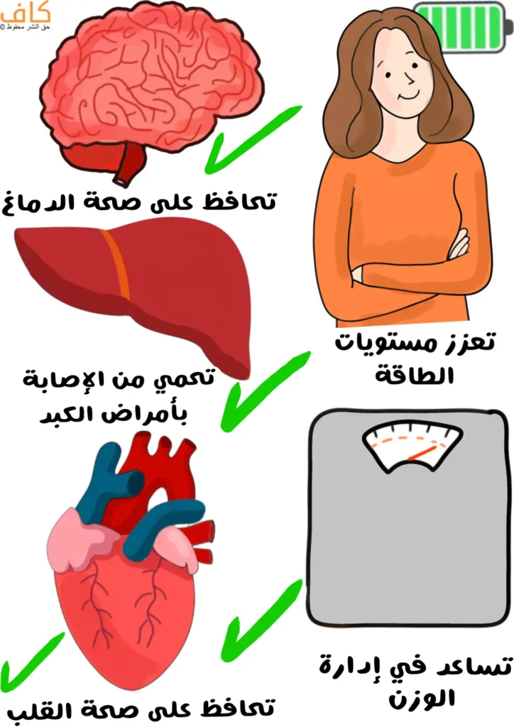رسمة توضيحية ملوّنة تظهر دماغاً، قلباً، كبدًا، وسيدة مبتسمة بجانب أيقونة بطارية طاقة، وميزان للوزن، مع عبارات تبرز فوائد شرب القهوة في تعزيز الطاقة، حماية الكبد، الحفاظ على صحة الدماغ والقلب، والمساعدة في إدارة الوزن.