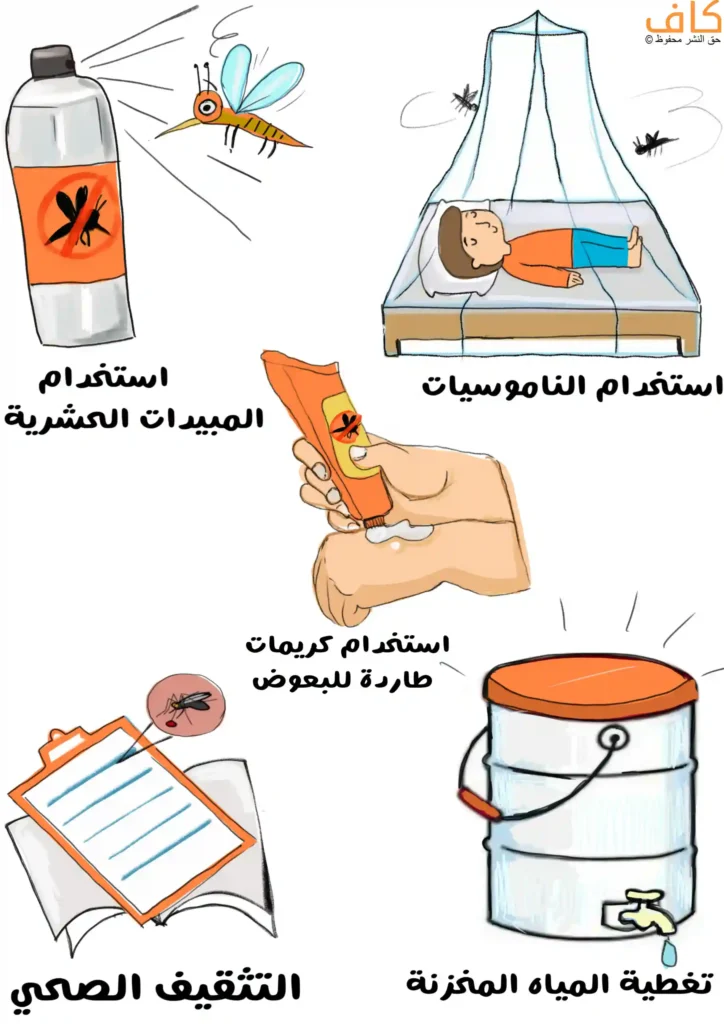 رسم توضيحي يوضح طرق الوقاية من الإصابة بحمى الضنك، ويشمل استخدام المبيدات الحشرية لطرد البعوض، النوم تحت الناموسيات، وضع كريمات طاردة للبعوض على الجلد، تغطية خزانات المياه لمنع تكاثر البعوض، والالتزام بالتثقيف الصحي للحد من انتشار العدوى.