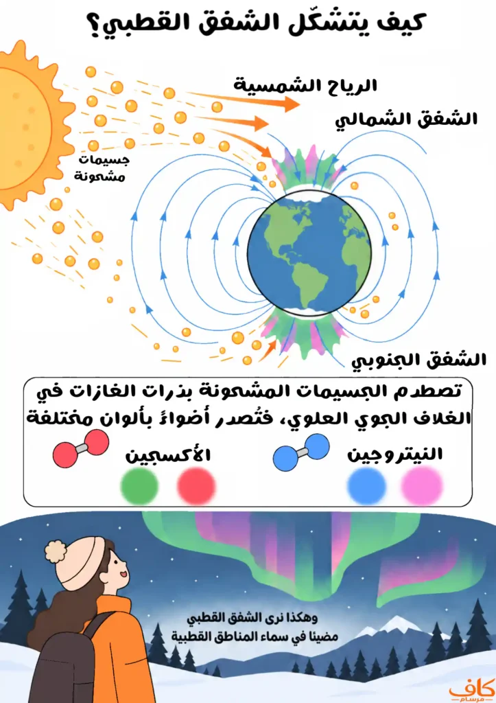 رسم توضيحي يشرح كيف يتشكل الشفق القطبي نتيجة اصطدام الجسيمات المشحونة القادمة مع الرياح الشمسية بغازات الغلاف الجوي العلوي بعد توجيهها بواسطة المجال المغناطيسي للأرض نحو القطبين.