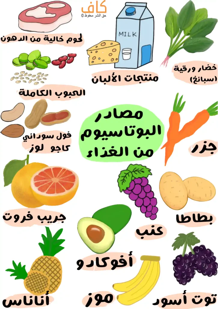 رسم توضيحي يُظهر مجموعة متنوعة من الأطعمة الغنية بالبوتاسيوم، تشمل الجزر، البطاطا، العنب، الموز، الأفوكادو، الأناناس، الجريب فروت، التوت الأسود، الخضار الورقية كالسبانخ، الحبوب الكاملة، منتجات الألبان مثل الحليب والجبن، المكسرات كالكاجو واللوز والفول السوداني، ولحومًا خالية من الدهون، ويُعبّر عن مصادر البوتاسيوم الغذائية الطبيعية.