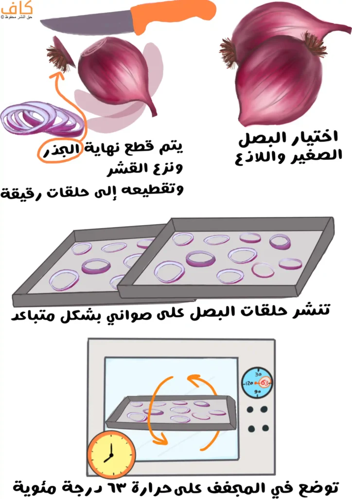رسم توضيحي يَعرض خطوات إعداد البصل المجفف، تشمل اختيار بصل صغير وطازج، وبصل مقطع نهاية جذره وتم نزع القشر، وبصل مقطع الى حلقات صغيرة، ثم توزيع الحلقات على صوانٍ بشكل متباعد، وصينية موجودة في الفرن عليها حلقات بصل مقطعة.