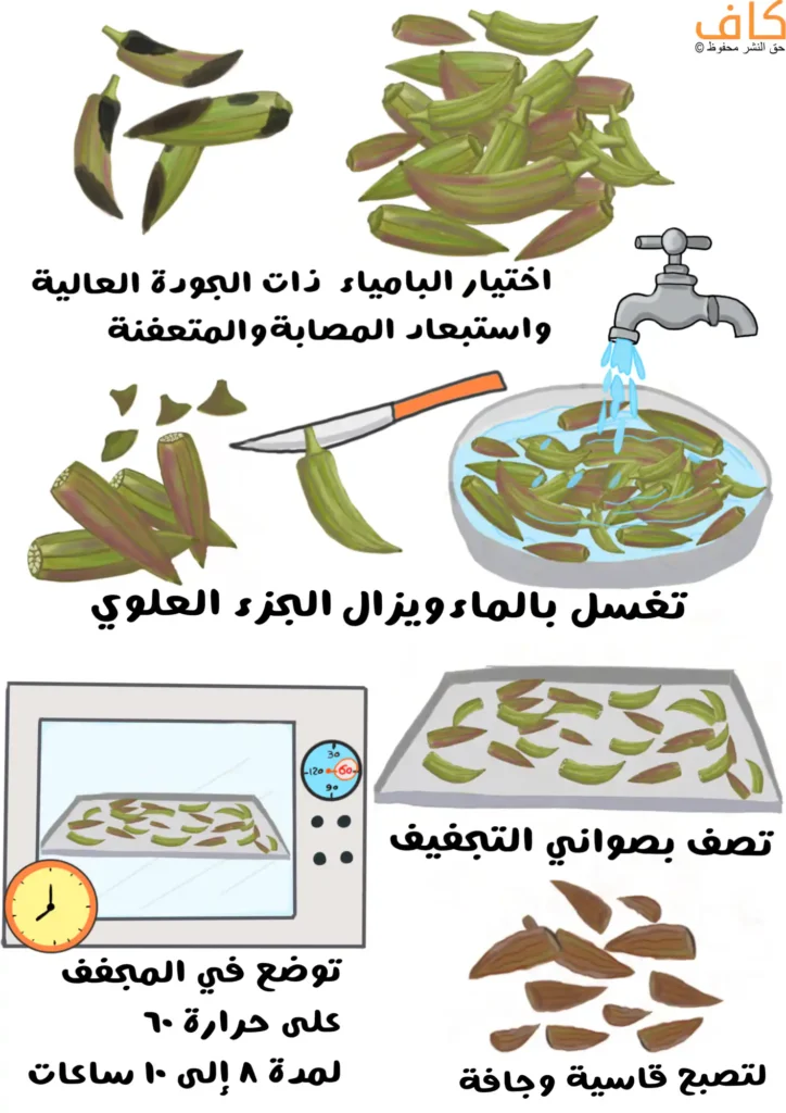 رسم توضيحي يَعرض خطوات صناعة البامية المجففة، تشمل اختيار قرون بامية طازجة وخالية من التلف، وغسلها بالماء، وإزالة الجزء العلوي بالسِّكين، ثم تقطيعها ونشرها على صواني التجفيف، ووضعها في المجفف أو الفرن على درجة حرارة منخفضة حتى تصبح جافة وقاسية.