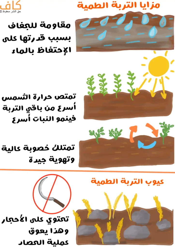 رسم توضيحي يبيّن مزايا وعيوب التربة الطميّة، حيث تظهر طبقات تربة تحتفظ بالماء، ونباتات تنمو بسرعة مع امتصاص أفضل لحرارة الشمس، وتربة ذات تهوية جيدة وخصوبة عالية، وفي المقابل العيوب متمثلة بتربة تحتوي على أحجار تعيق عملية الحراثة والحصاد.