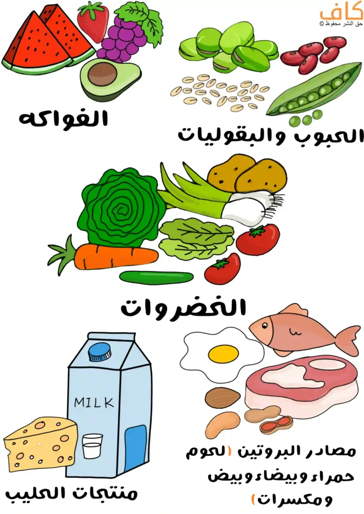 رسم توضيحي يُظهر مجموعات غذائية مختلفة تشمل قطع بطيخ وعنب وفراولة وأفوكادو، وحبوبًا وبقوليات متنوعة، وخضروات مثل الخس والجزر والبطاطس والطماطم، إضافة إلى عبوة حليب وقطعة جبن، وأسماك ولحوم وبيض ومكسرات. ويُعبّر الرسم عن المكونات الأساسية للنظام الغذائي الصحي.