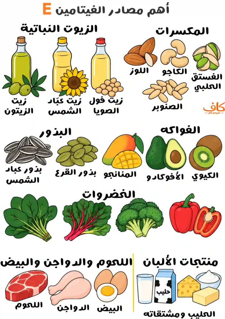 رسمة توضيحية لأهم مصادر الفيتامين E، تشمل الزيوت النباتية مثل زيت الزيتون وعباد الشمس وفول الصويا، والمكسرات والبذور، والفواكه مثل المانجو والأفوكادو والكيوي، والخضروات مثل السبانخ والسلق والبروكلي والفلفل الأحمر، إضافة إلى اللحوم والدواجن والبيض ومنتجات الألبان.