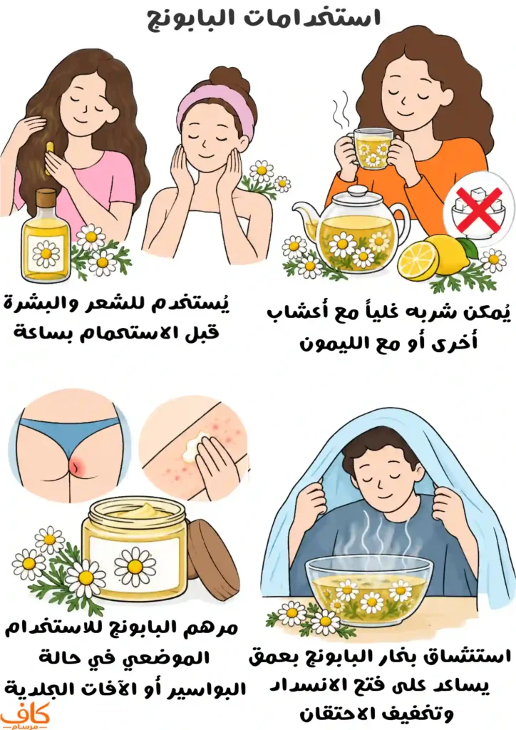 رسم توضيحي يشرح أربع طرق لاستعمال البابونج: شرب شاي البابونج المغلي مع الأعشاب أو الليمون دون سكر، واستخدام زيت البابونج للشعر والبشرة قبل الاستحمام، واستنشاق بخاره لتخفيف احتقان الأنف والطرق الهوائية، واستعمال مراهم تحتوي على البابونج موضعيًا للبواسير أو الآفات الجلدية.