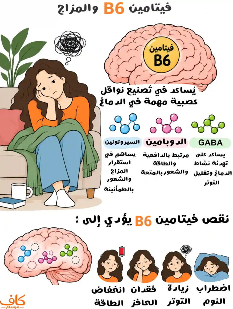 رسم توضيحي يشرح علاقة فيتامين B6 بصحة الدماغ والمزاج، ودوره في تصنيع نواقل عصبية مثل السيروتونين والدوبامين وGABA، مع توضيح بعض الأعراض المحتملة لنقصه، مثل انخفاض الطاقة وفقدان الحافز وزيادة التوتر واضطراب النوم.