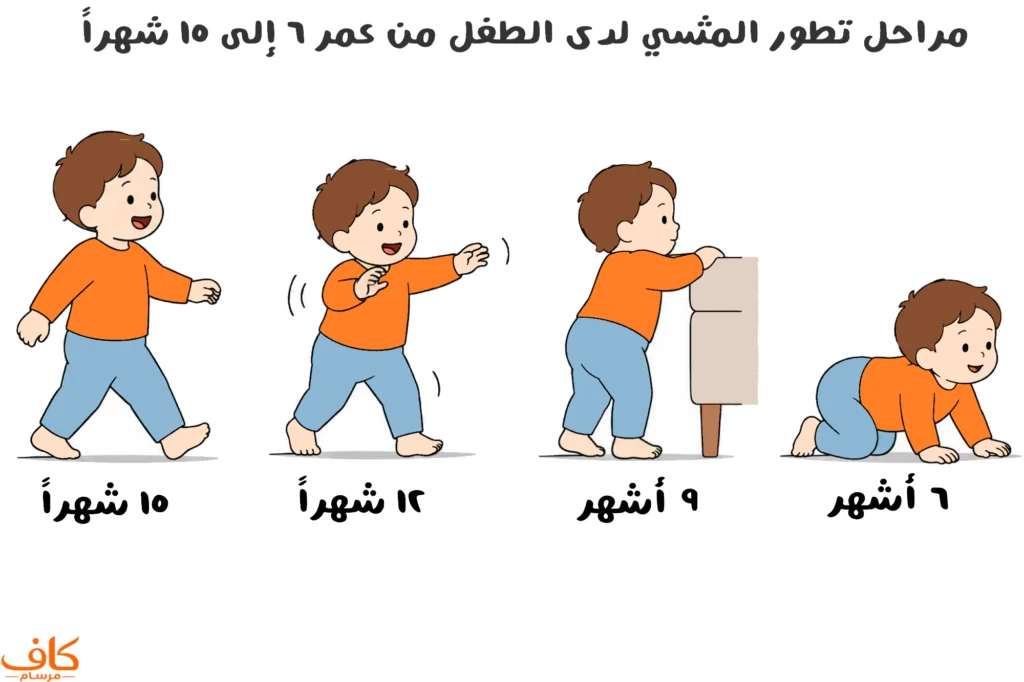 مراحل تطور المشي لدى الطفل من عمر 6 إلى 15 شهراً، من الحبو والوقوف مستنداً إلى الأثاث حتى المشي بشكل مستقل.